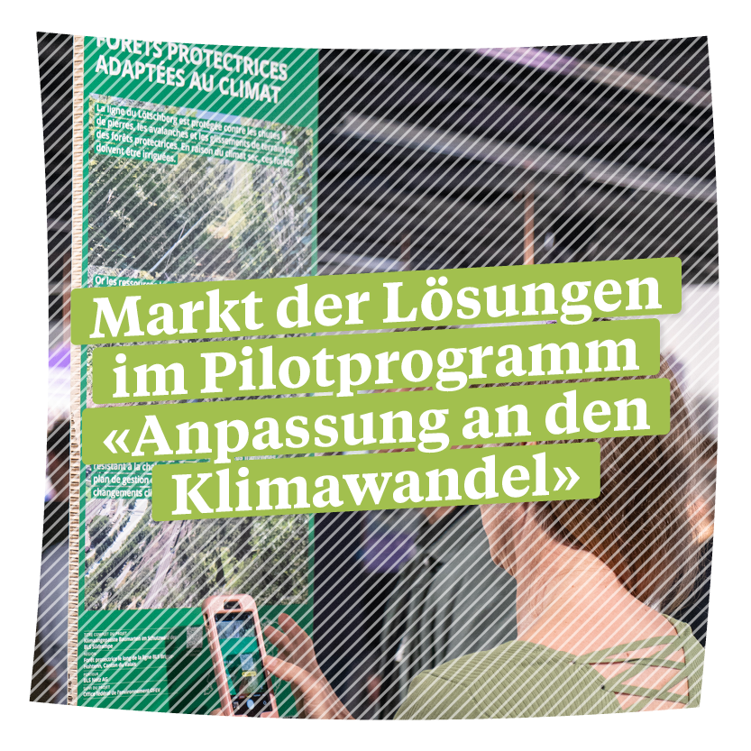 Markt der Lösungen im Pilotprogramm «Anpassung an den Klimawandel»